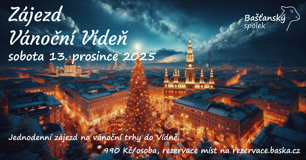 Zájezd - Vánoční Vídeň