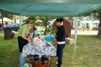 gulasfest2014_008