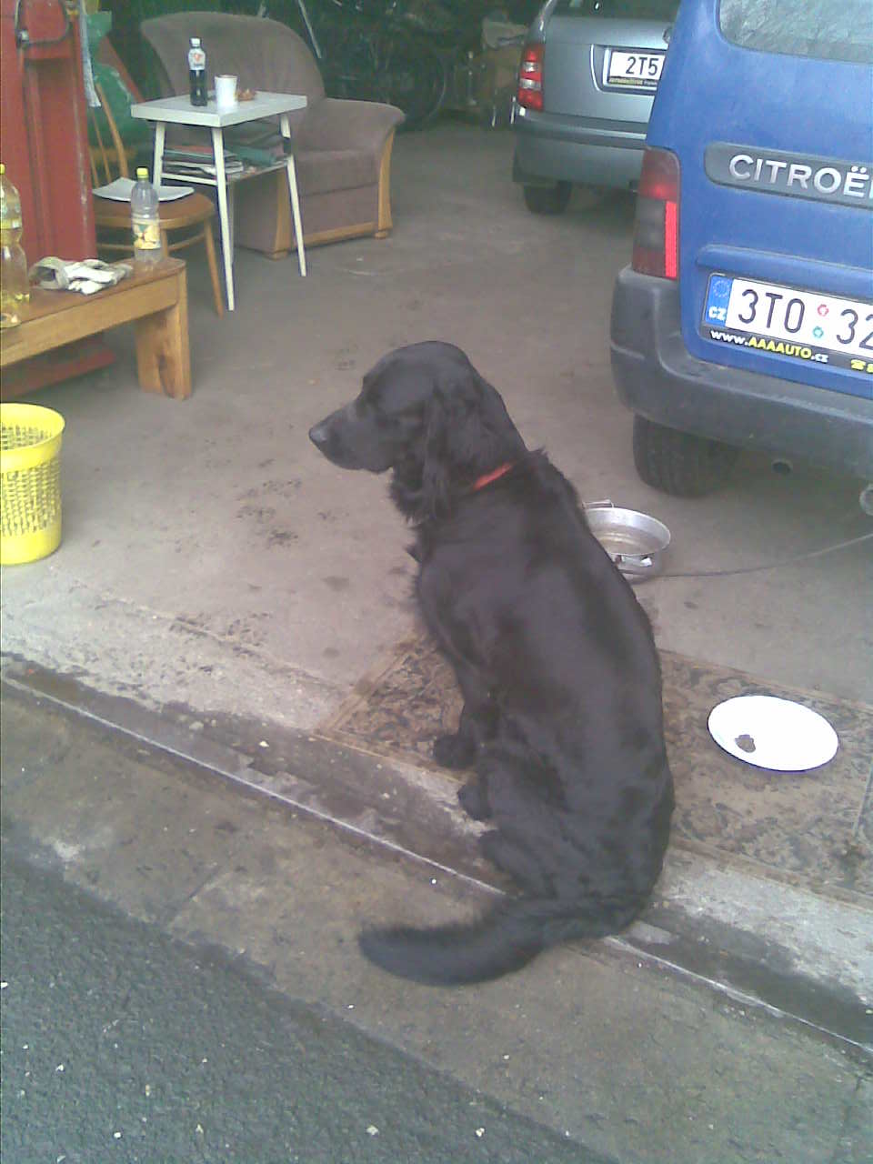 Obraz017