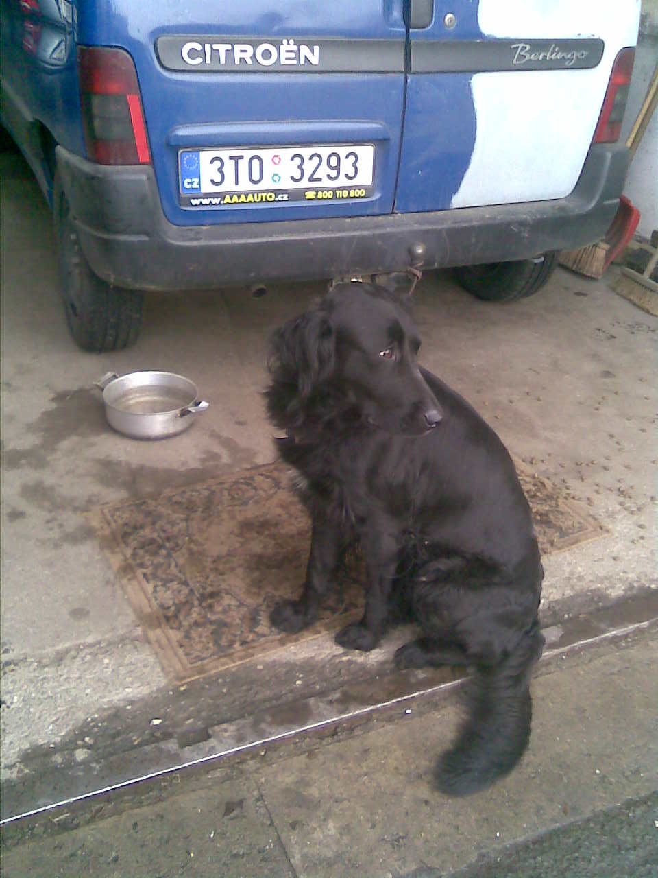 Obraz018