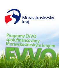 evvo